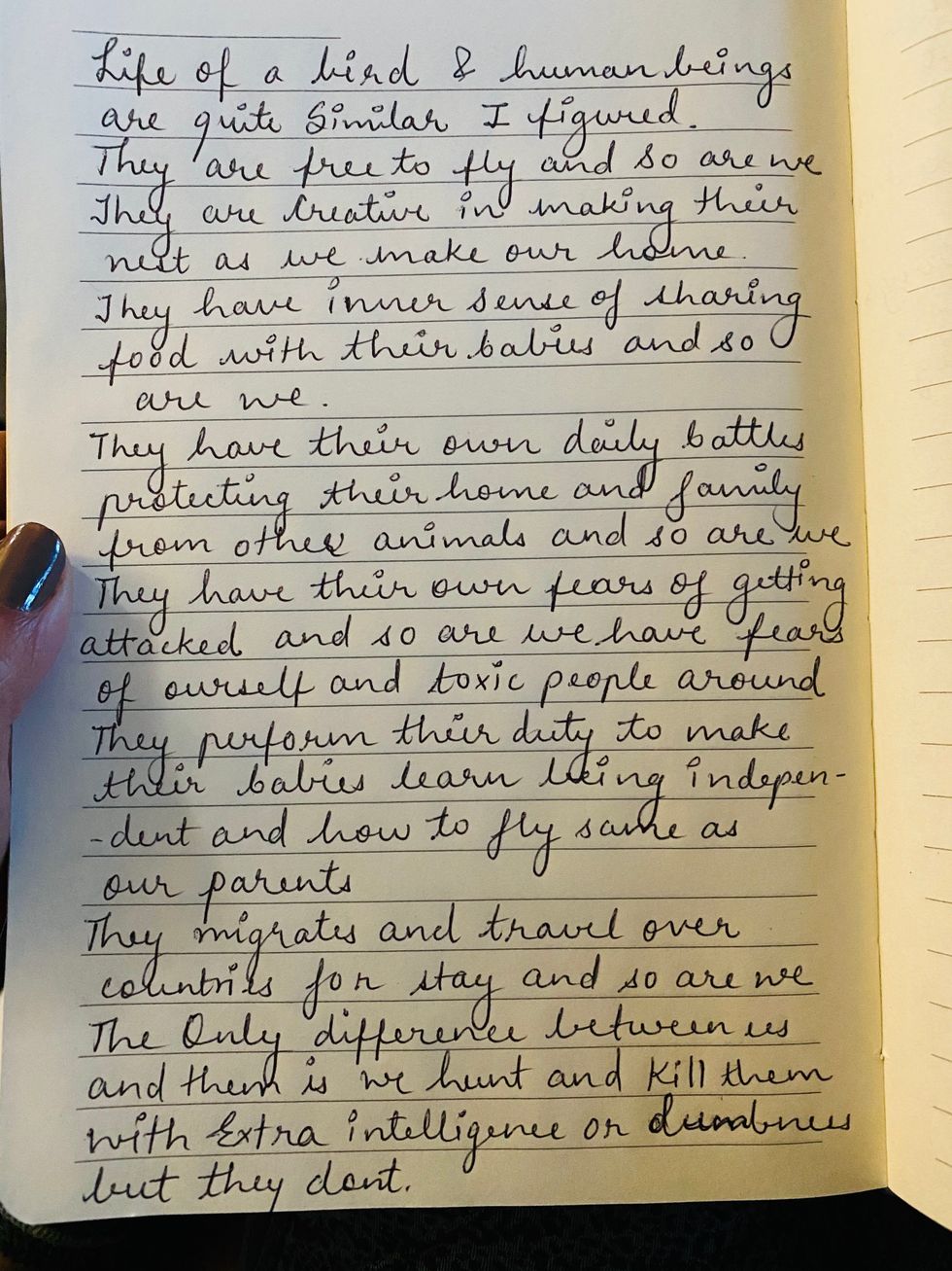 Life of a bird and humanbeings