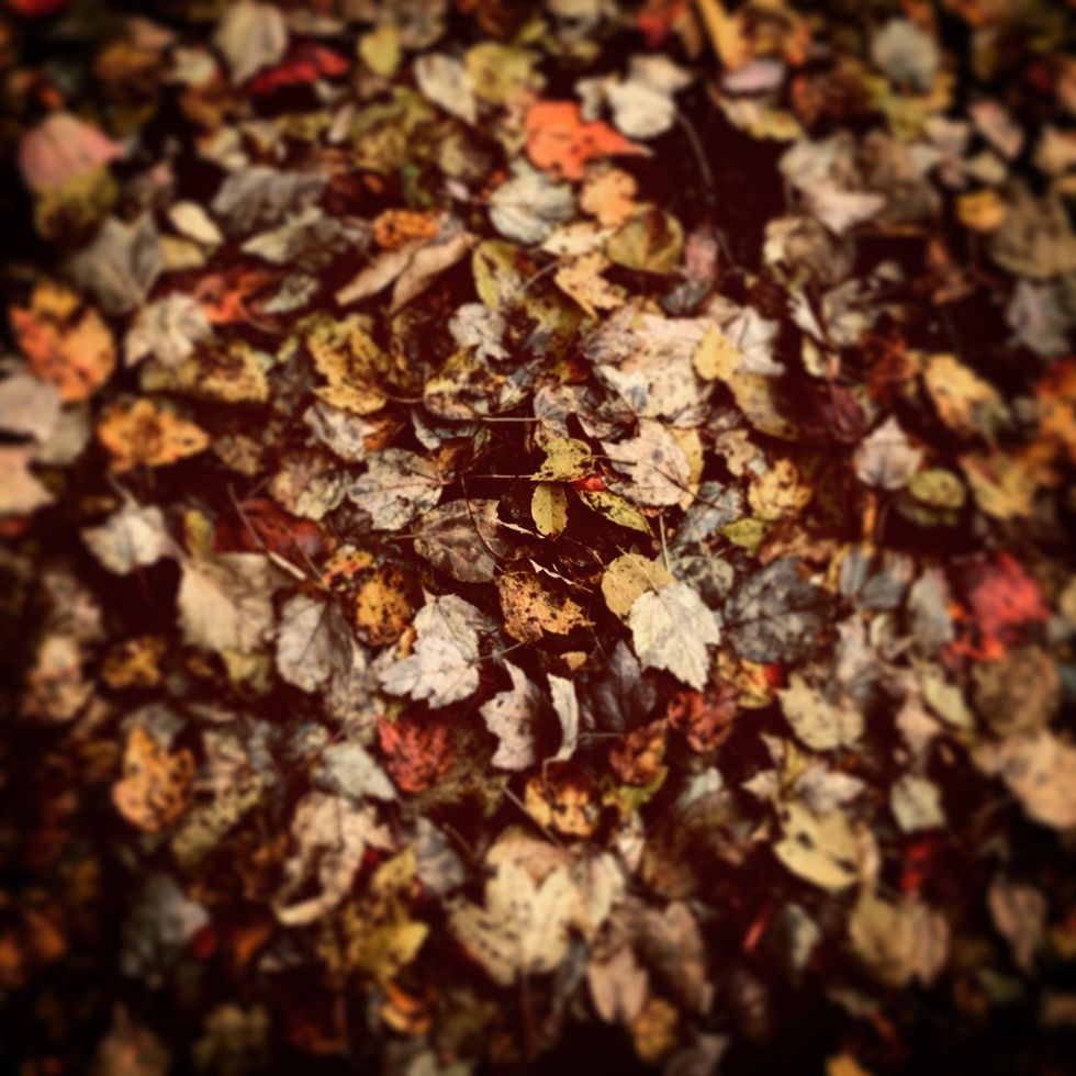 7 reasons why I am excited about fall.