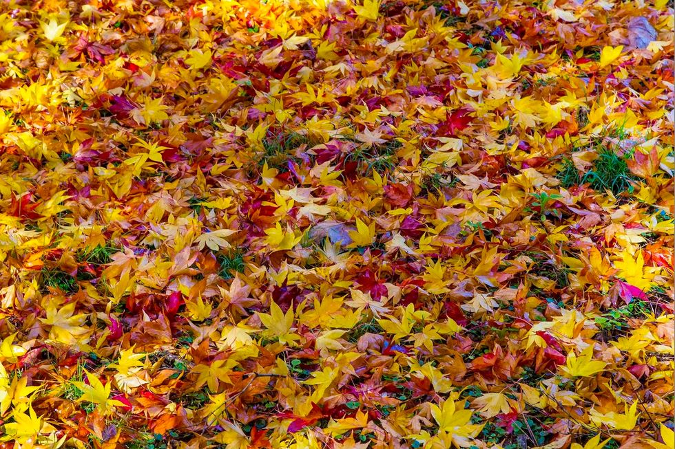 10 Movies You Should Be Watching To Get You In The Autumn Mood