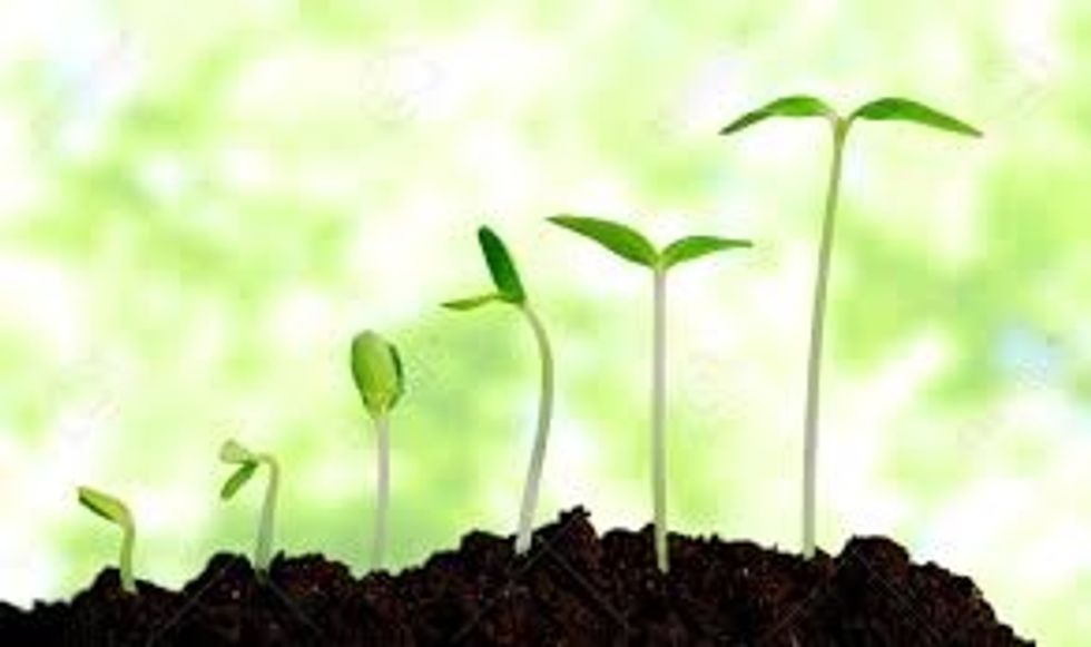 How I 'Glew Up' in Quarantine