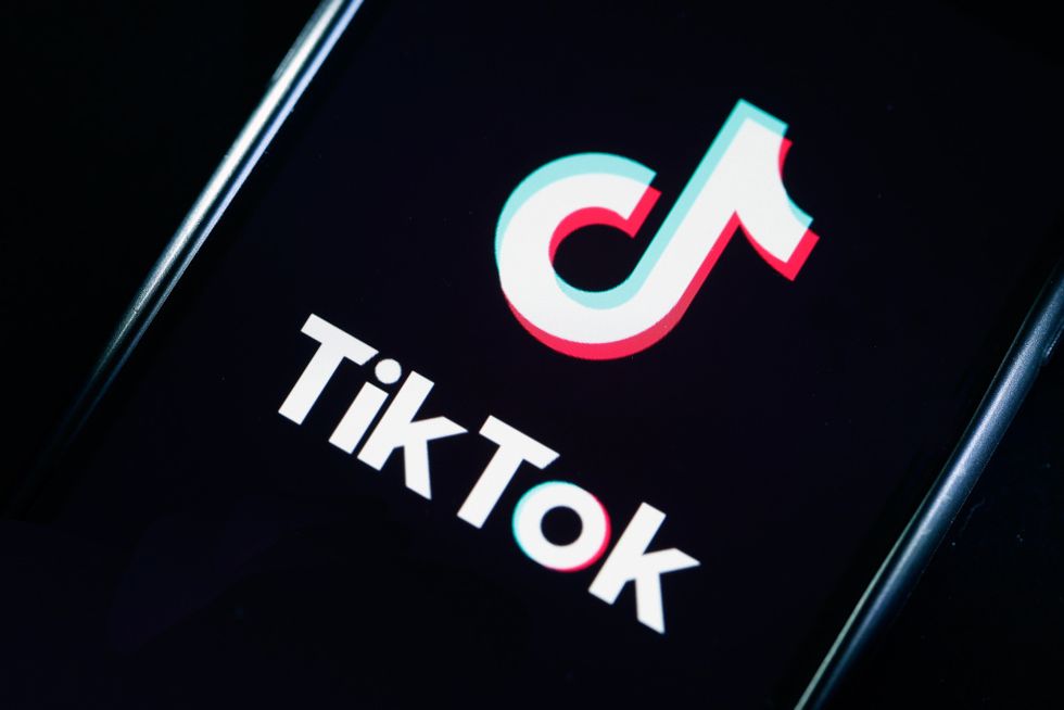 What Side of TikTok Are You On?