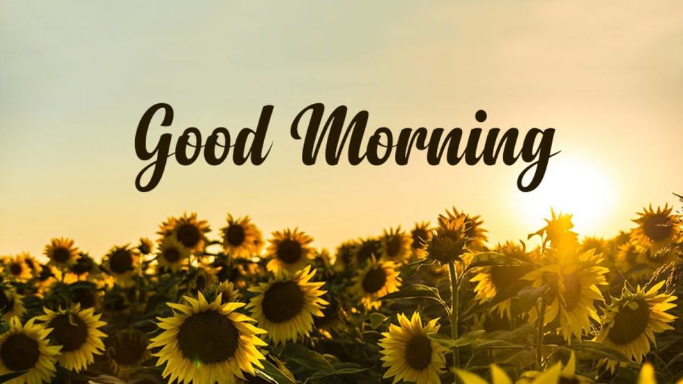 Best Beautiful Morning GIF Images For Friends