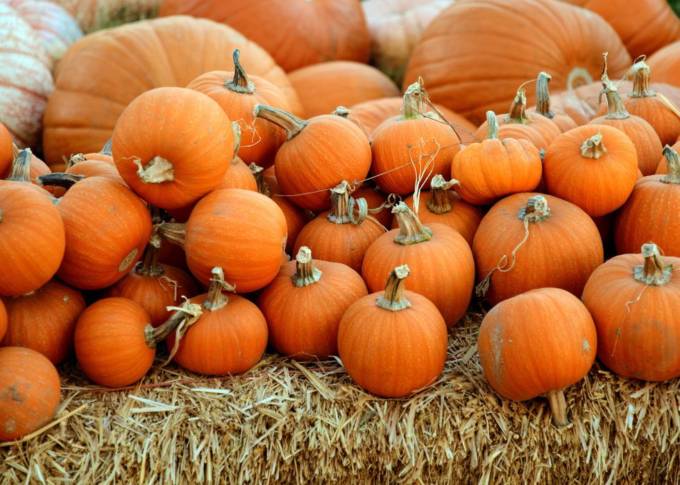 8 Tips To Have A Spookily Sustainable Halloween
