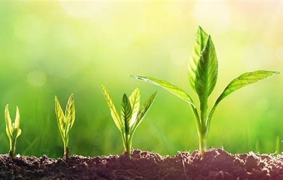 5 Things to ACTUALLY Learn in College