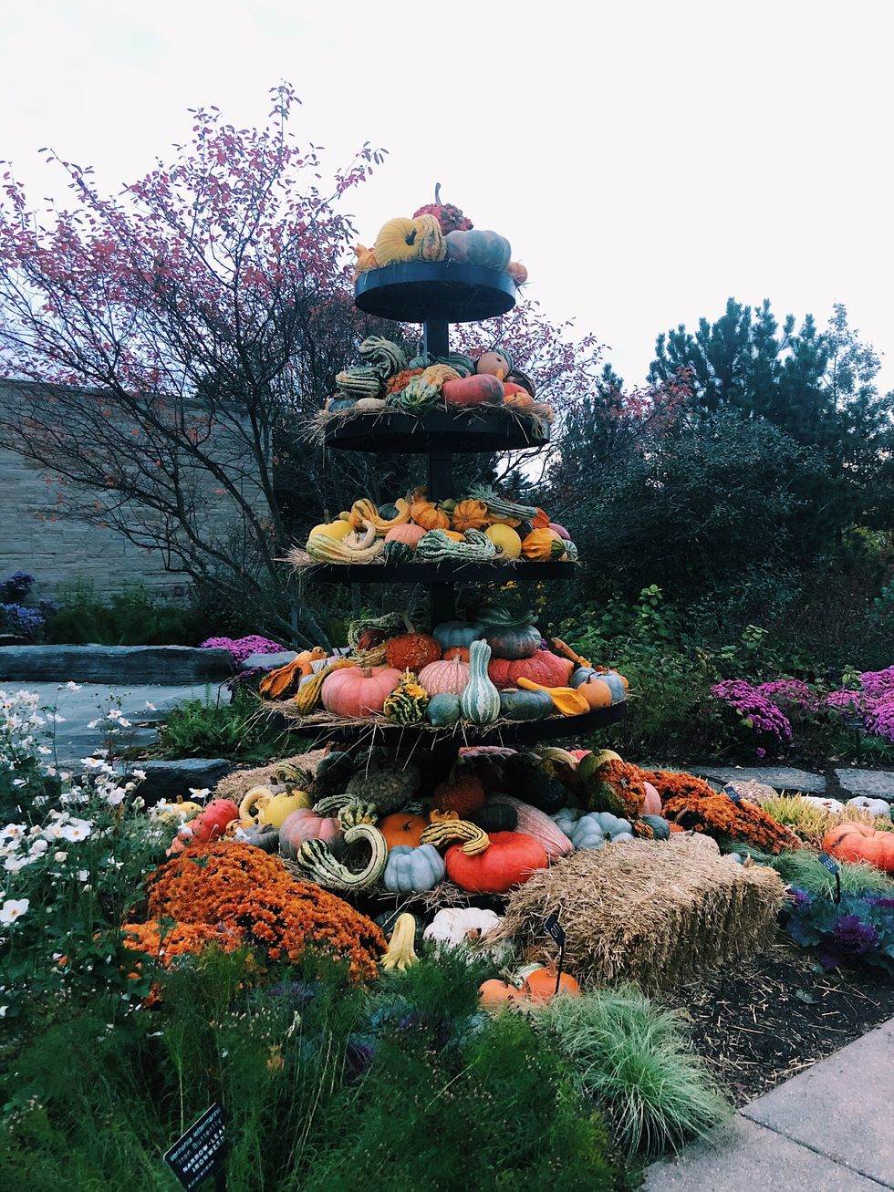 State College To-Do List Before Winter Chill Sets In