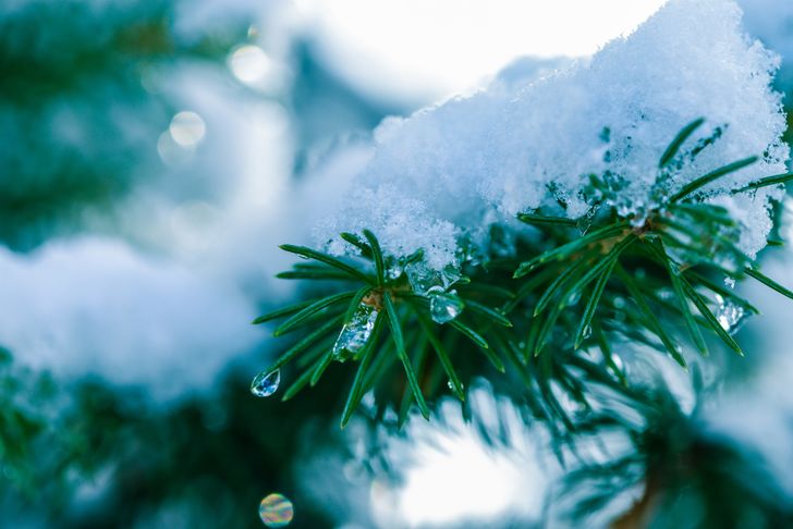 5 Ways To Stay Safe and Healthy This Holiday Season