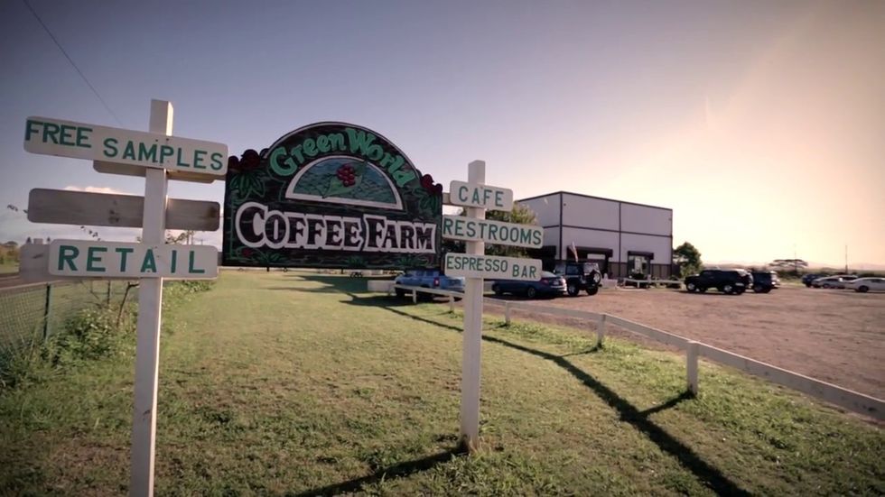 5 Local Businesses You Have To Check Out In O'ahu, Hawaii