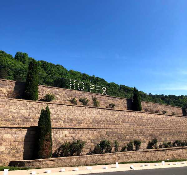 The ABCs Of Relay For Life At Penn State