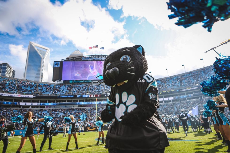 Mascot Rankings: NFL
