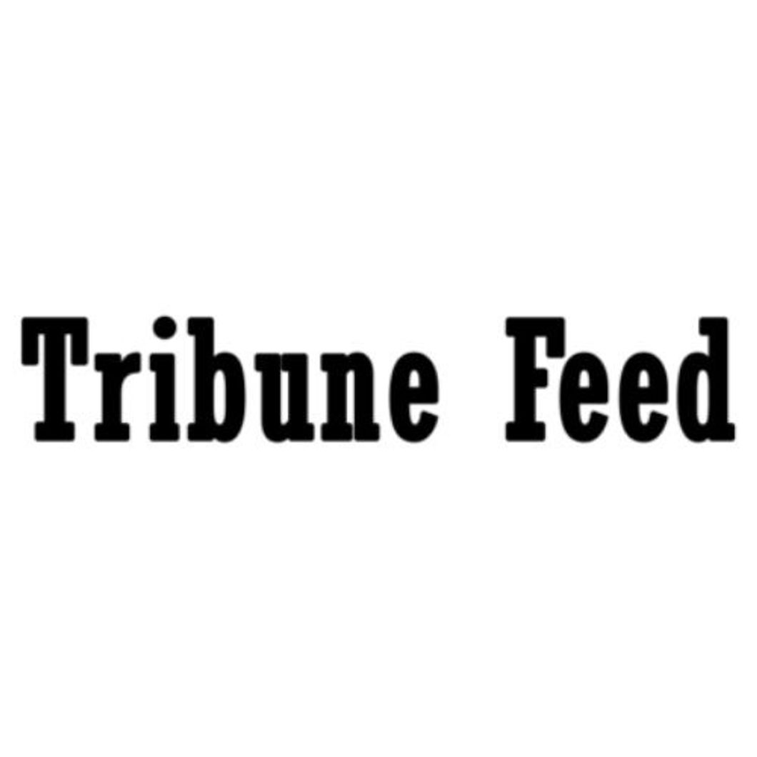 Tribune Feed