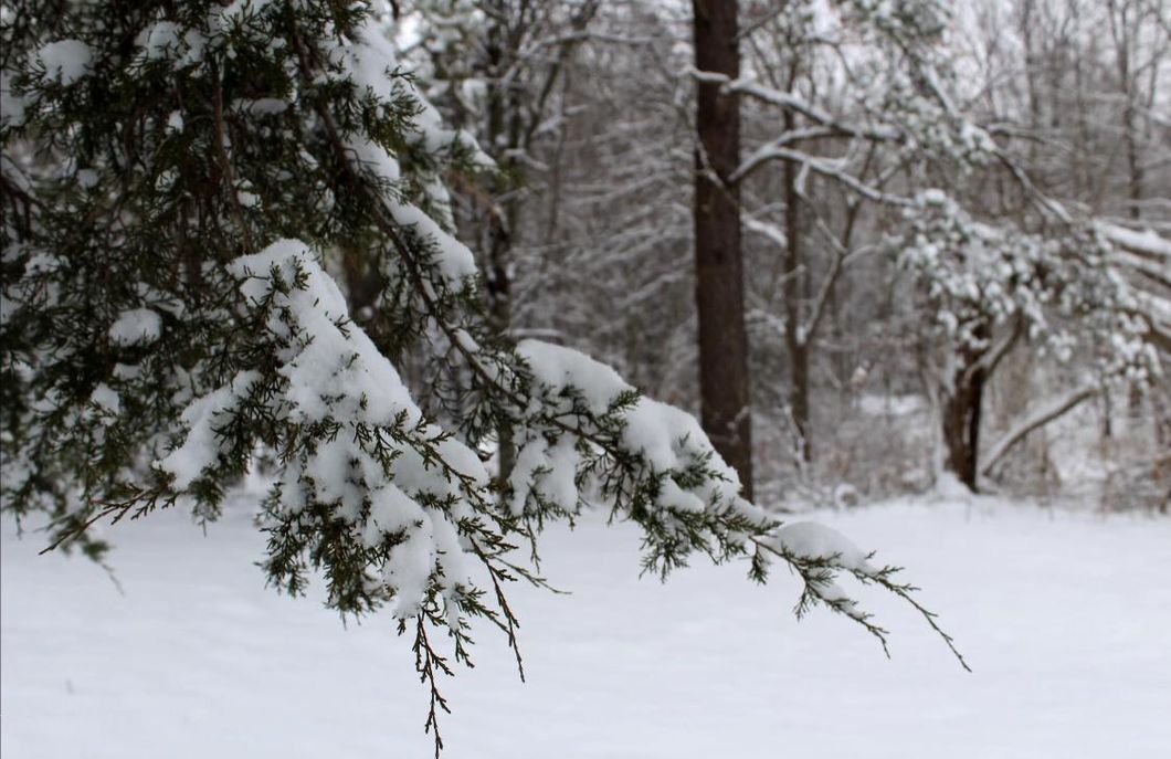 9 Reasons Winter Is Totally Overrated And Any Season Is Better