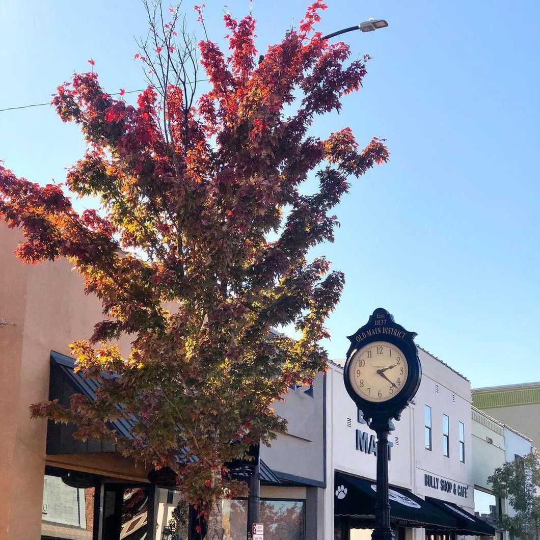 7 Local Starkville, MS Businesses You Can Support This Holiday Season