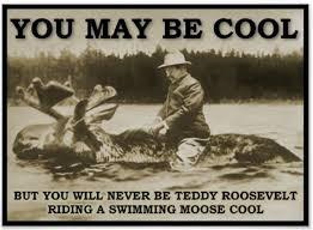 What Would Teddy Do?: A Guide for Men in the 21st Century