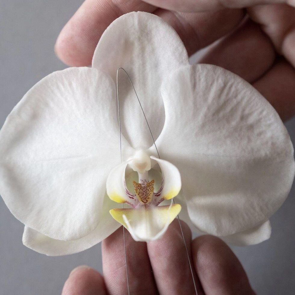 Let’s Talk About Women’s Healthcare