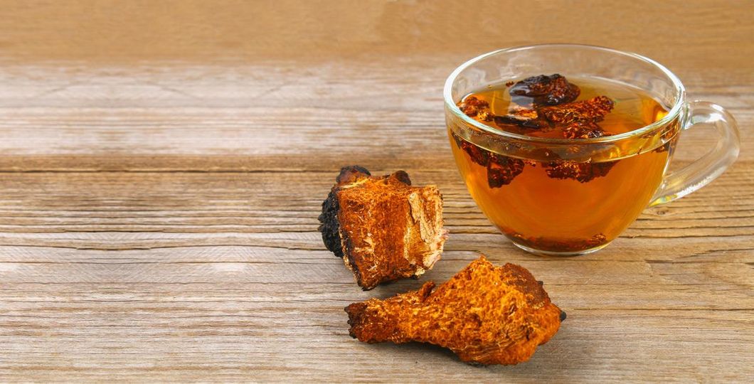 Health Benefits of Chaga Mushroom Tea