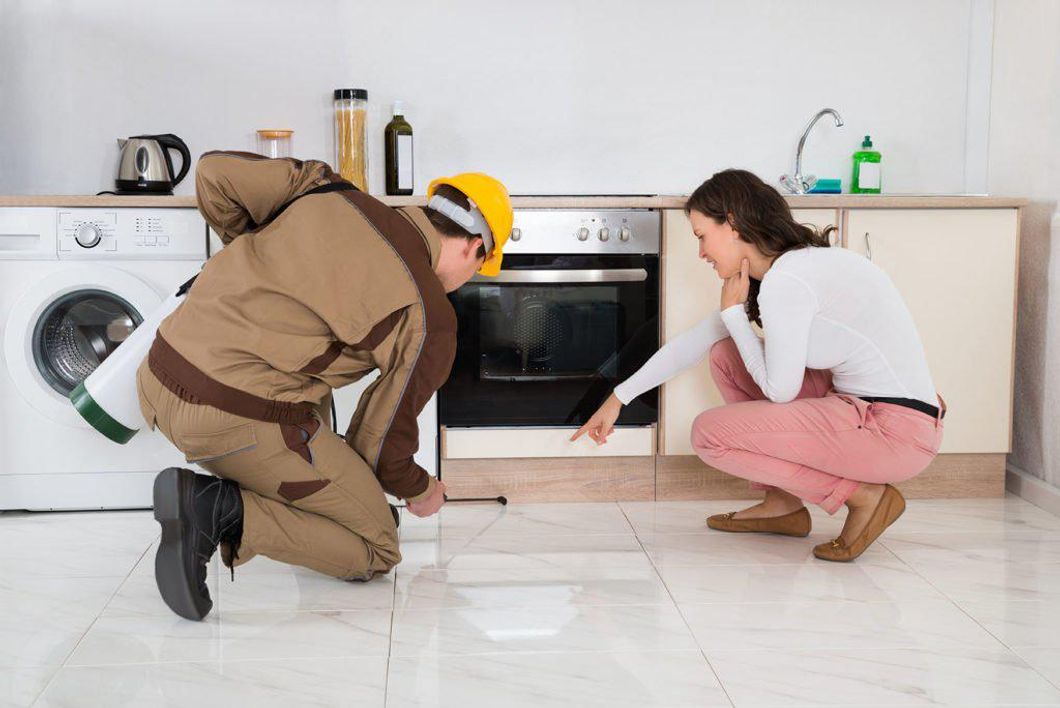 Things To Consider Before Hiring A Pest Control Service
