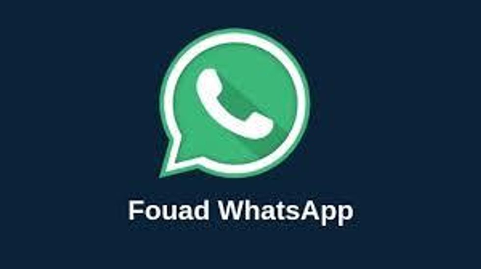 Fouad WhatsApp APK Download Latest Version 2021 The Odyssey Online