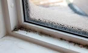 HOW TO GET RID OF MOLDS ON WINDOWS?