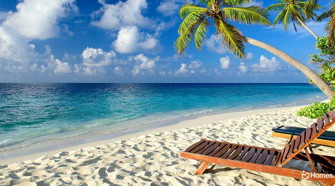 David Malka Reddit - Going To Vacation Alone