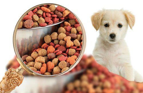 PetPum Expert Guide - Things to Considers While Purchasing Pet Foods Online