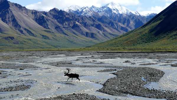 Why I Want To Move To Alaska