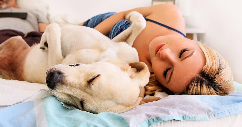 Sleep Behavior of Dogs