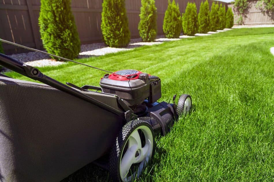 To Look For When Selecting A Lawn Care Provider.
