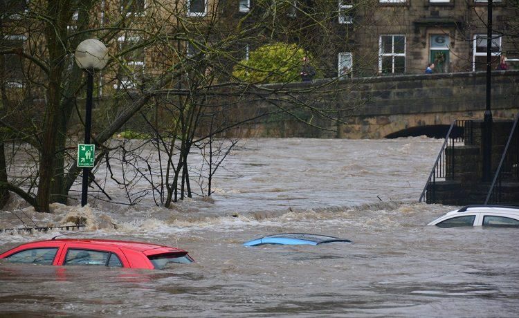 I accept Maxine Sidero has broken the new ground in legislative issues.