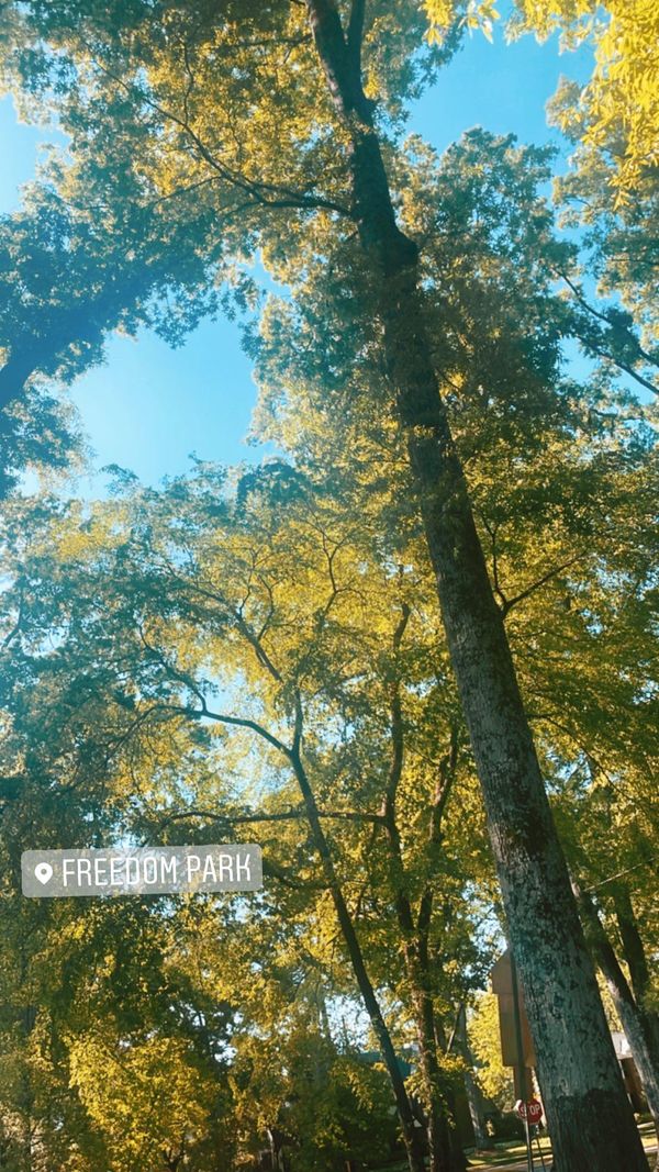 10 Things I’ve Learned in My First Year of College