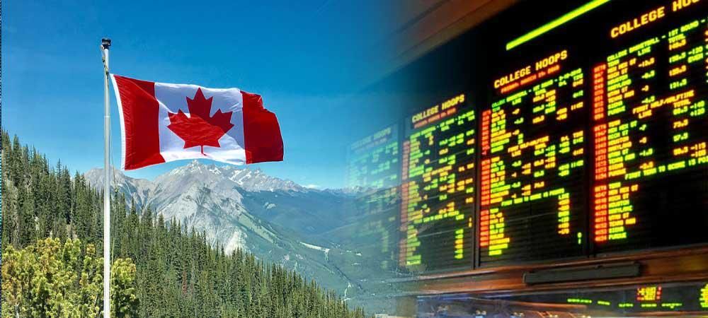 How Popular Are Sports Betting Sites in Canada?