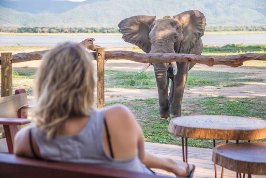 Southern Africa: What to Expect When Visiting Mana Pools National Park
