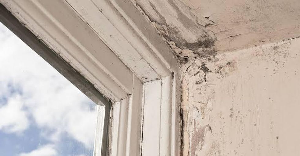 What To Do When Mold Removal Uncovers Asbestos