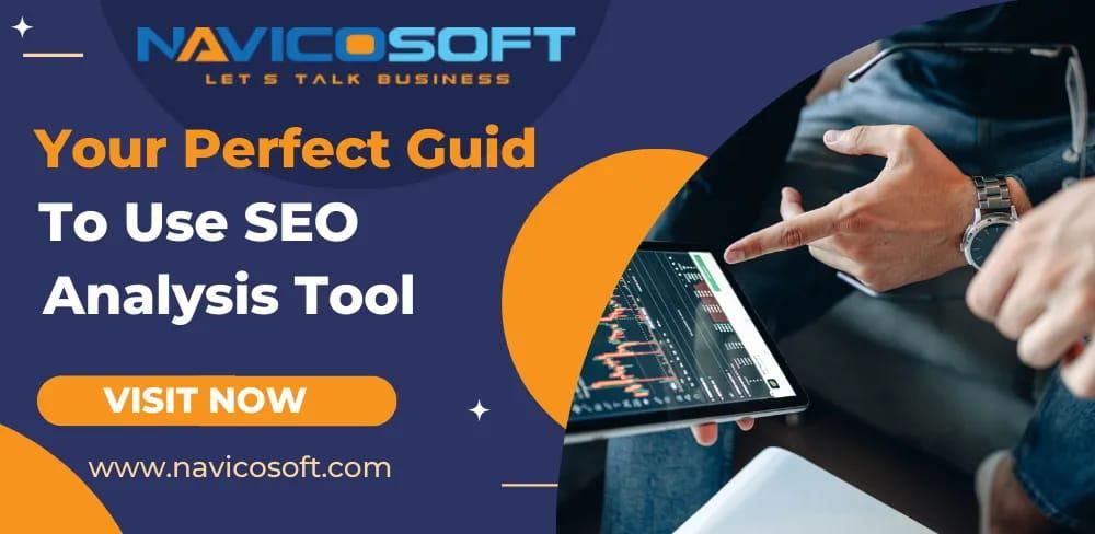 Your Perfect Guide to Use SEO Analysis Tool.
