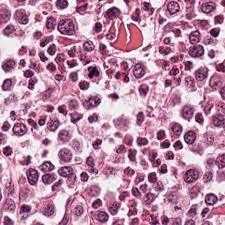 Digital Marketing Agency