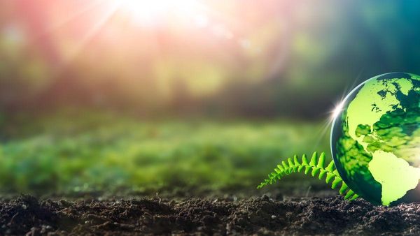 Think About Your Personal Impact on the Earth