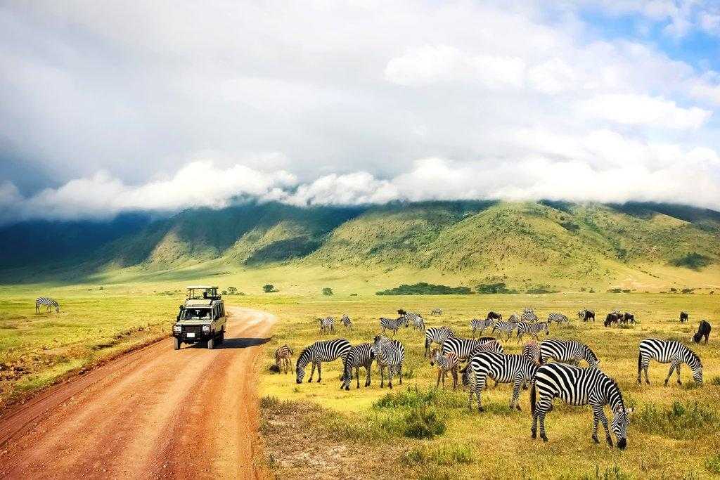How To Make The Most Out Of Your Kenyan Safari