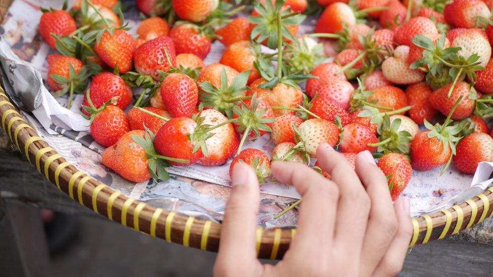 Best Fruit and Chocolate Covered Strawberry Bouquets to Buy in LA