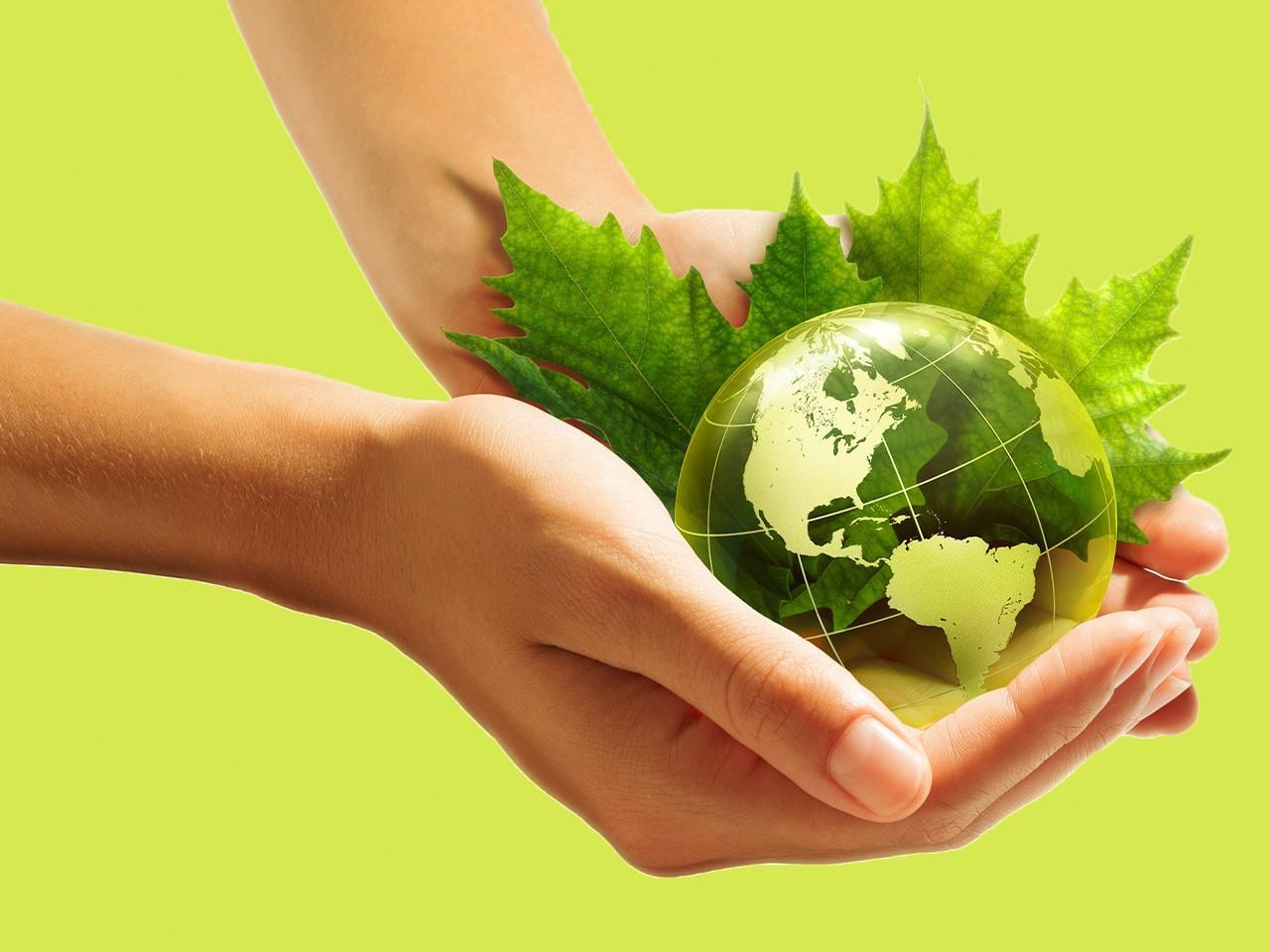 10 Creatively Simple Slogans To Help Save Our Environment