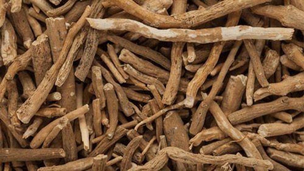 What Are The Dangers Of Taking Ashwagandha?
