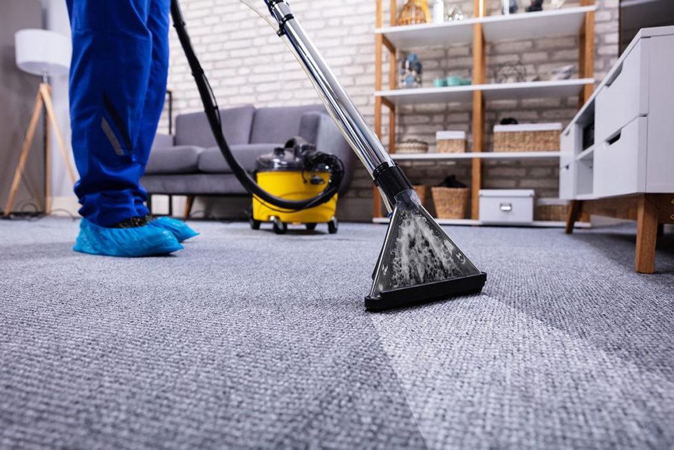 The Different Types of Professional Carpet Cleaning Services