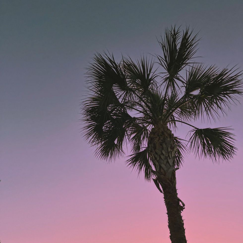 There’s More Than One Version of the American Dream