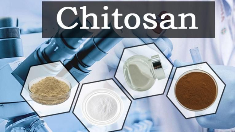 What to Ask Your Chitosan Supplier When Choosing the Right Chitosan