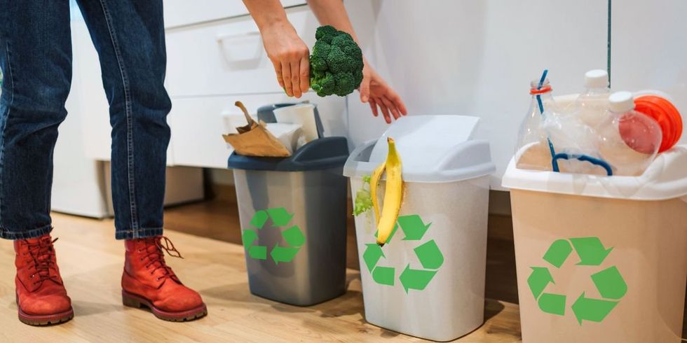 Requirements for waste and garbage sorting in 2023
