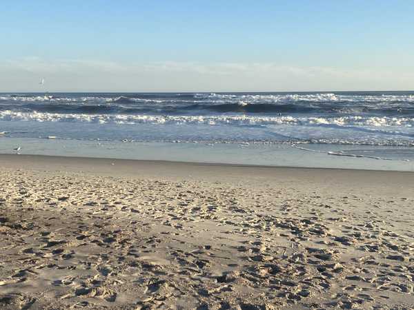 Hollow: A Poem About Grief