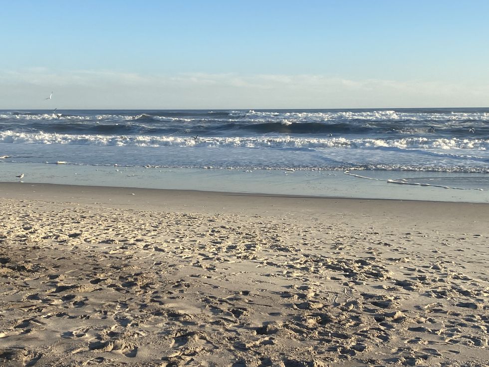 Hollow: A Poem About Grief