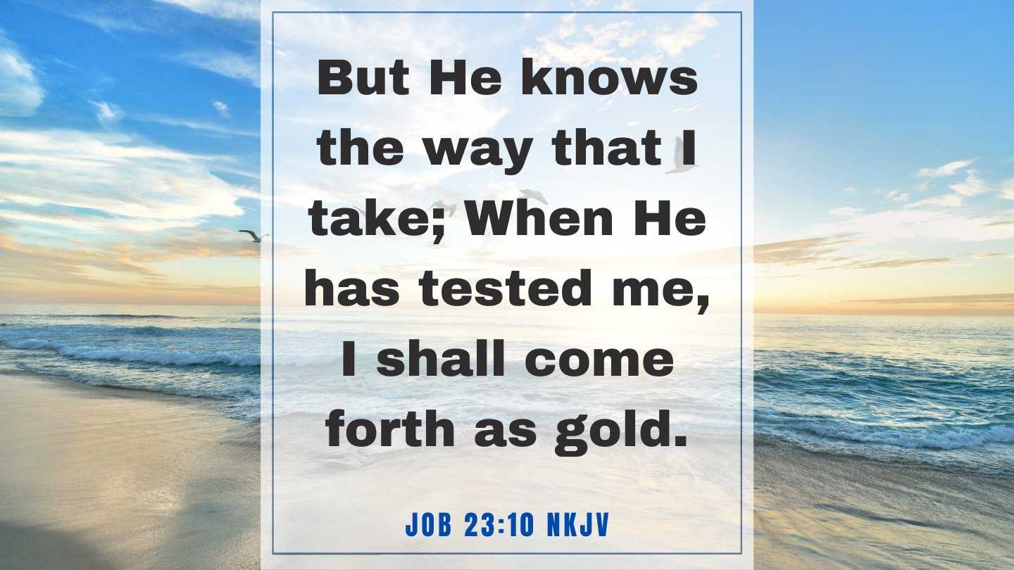 Bible Verse of the Day - February 23, 2023 Thursday