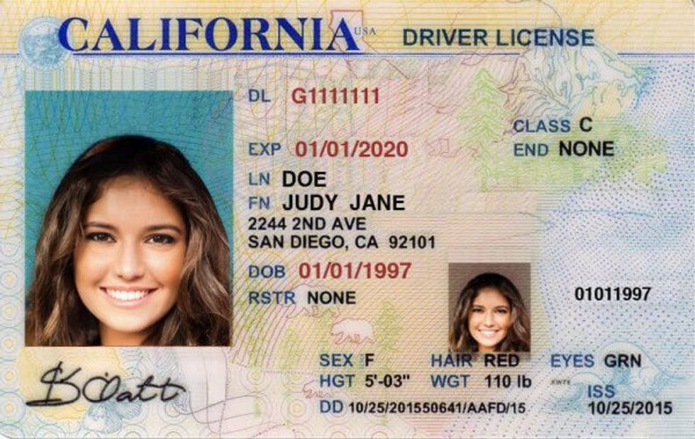 Fake drivers license: