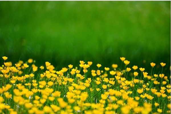 The Void of Yellow: The Power of Green.