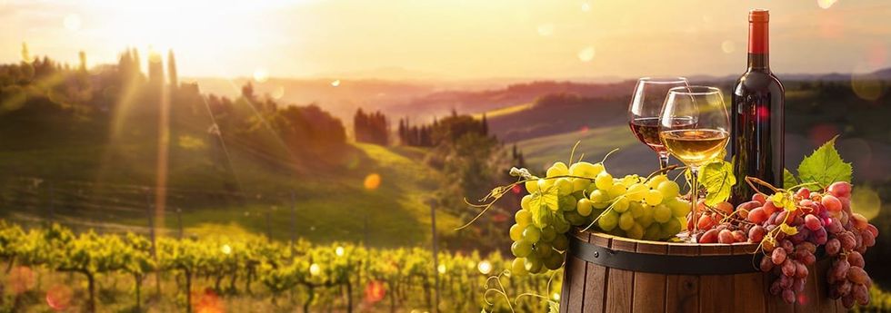 Expert Tips for Planning the Perfect Wine Tour