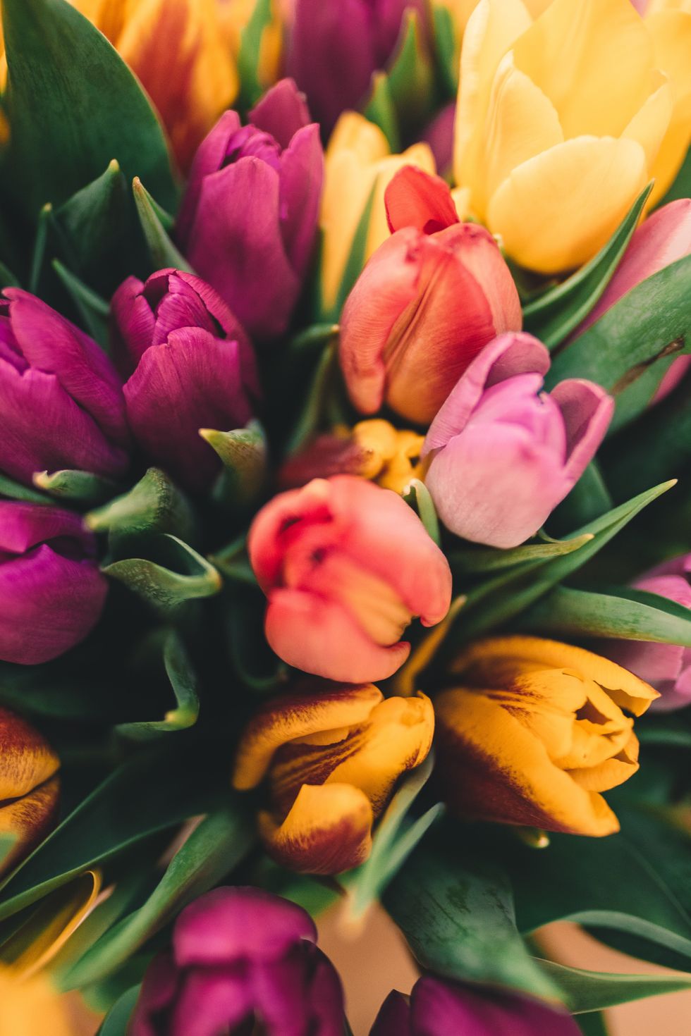The Good and The Bad about the Season of Spring | The Odyssey Online